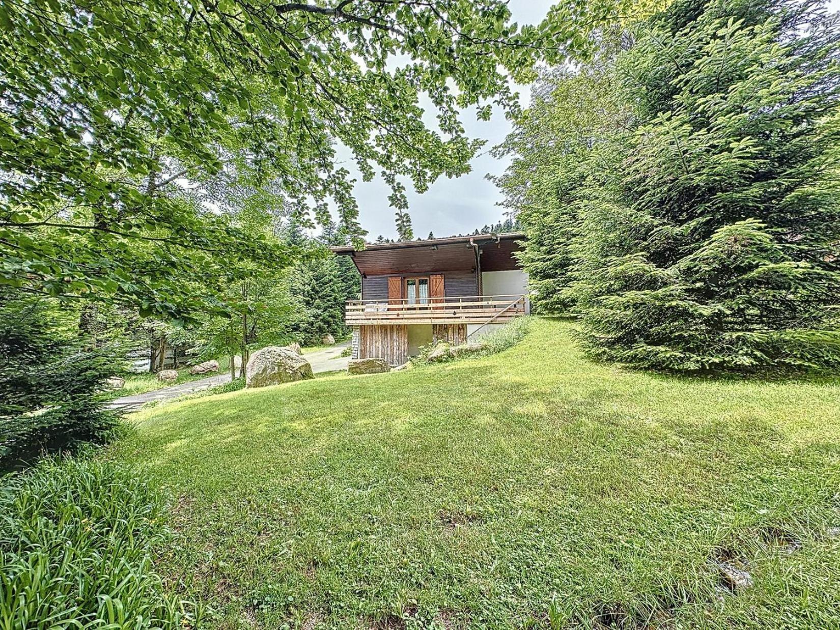 Le Chalet Des Belles Roches, La Bresse Hohneck Villa Exterior photo